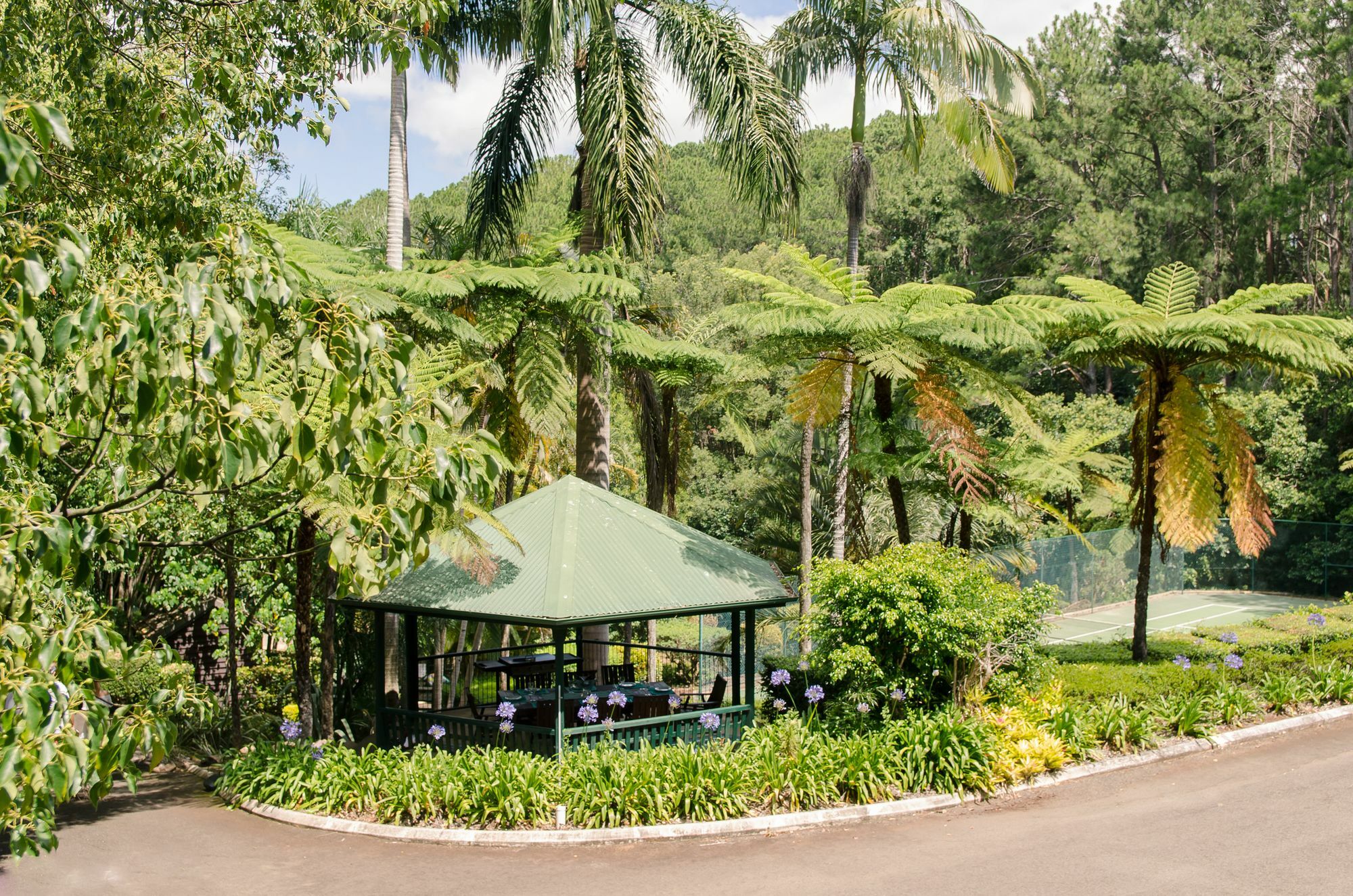 Montville Mountain Inn Esterno foto
