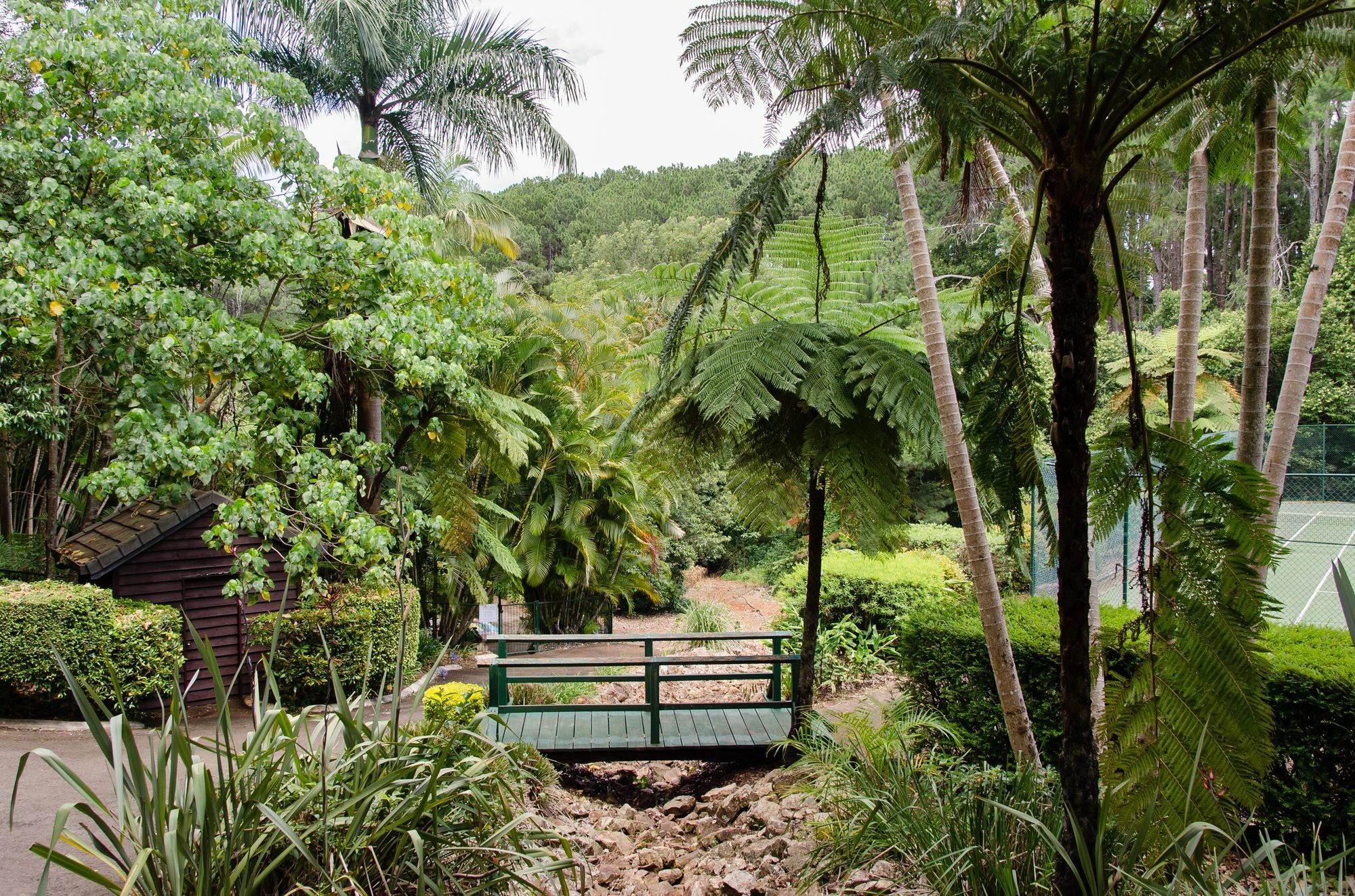 Montville Mountain Inn Esterno foto